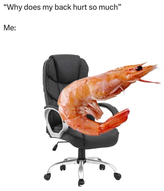 Socken Office Shrimp